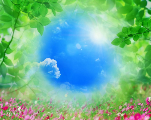 幼儿风寒感冒中药方案配方,脾虚泄泻并湿热怎么办 幼儿风寒感冒中药方案配方,脾虚泄泻并湿热怎么办