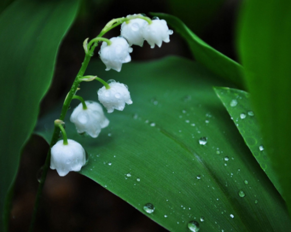 php 类中函数加减乘除
php 将数组转换字符串函数是