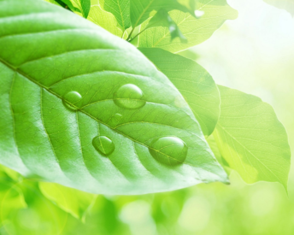 textarea 滚动条属性设置