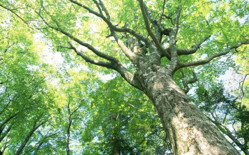 abb球形轨迹编程-编程培训泉州哪家好 abb球形轨迹编程-编程培训泉州哪家好